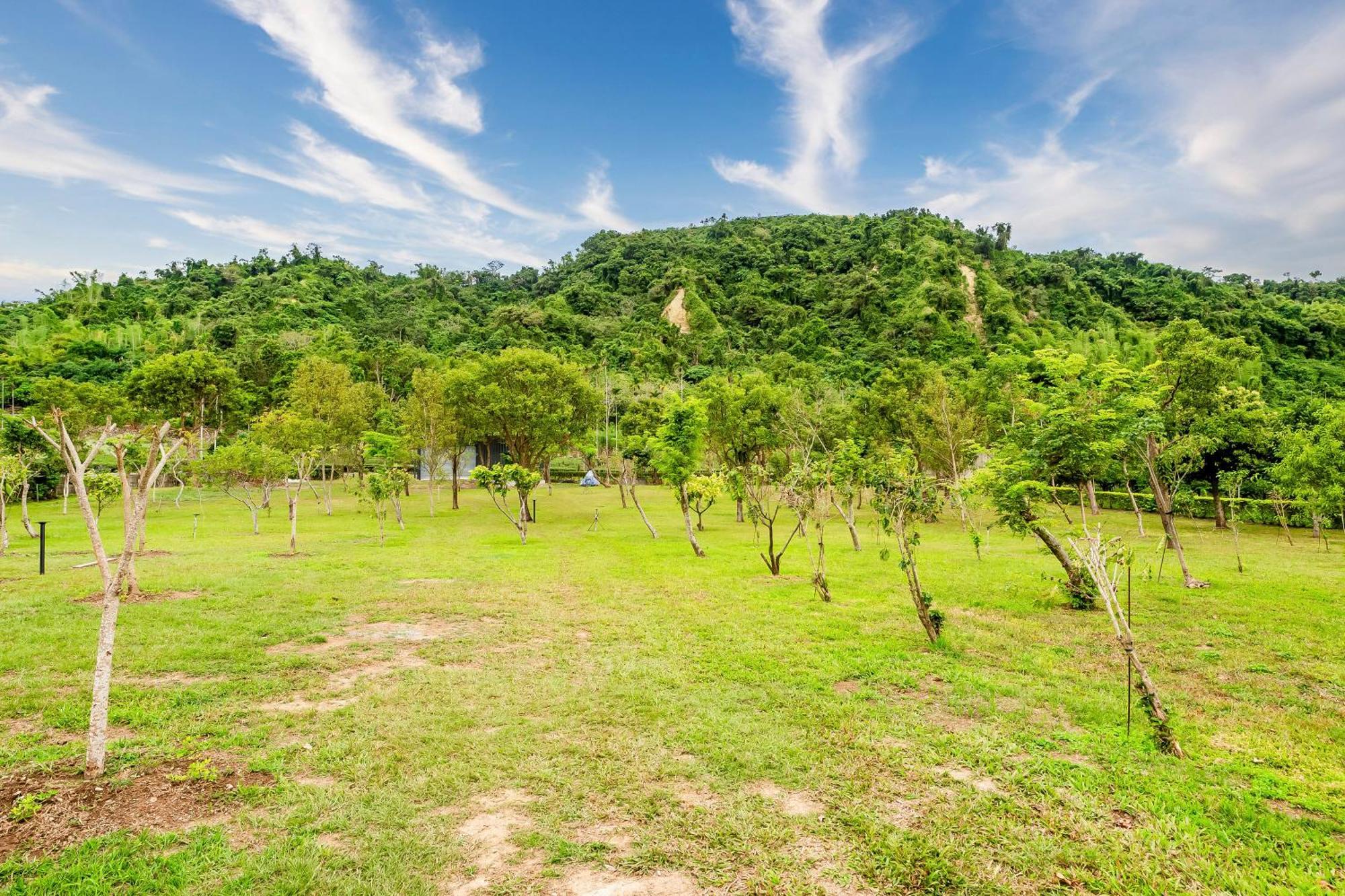 Apartmán Dream Field Luye Exteriér fotografie
